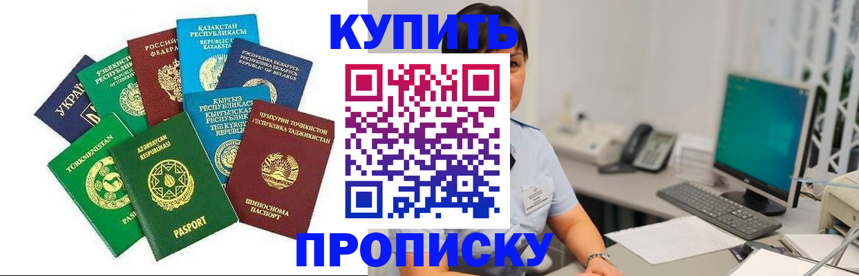 прописка в Бородино